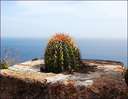 Antigua & Barbuda
