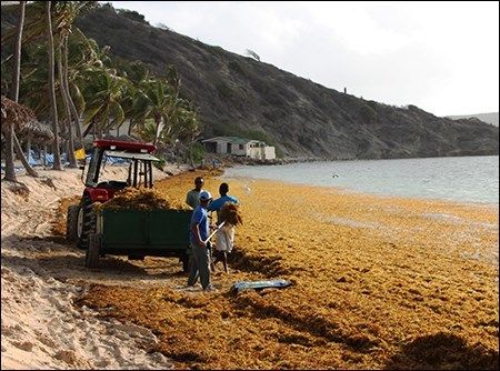 Antigua & Barbuda