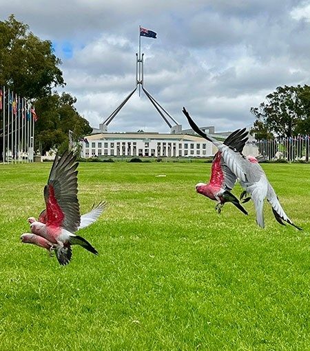 Canberra