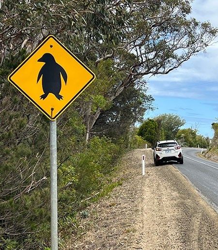 Tasmanien