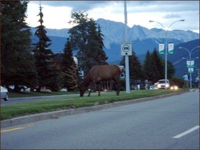 Canada 2007