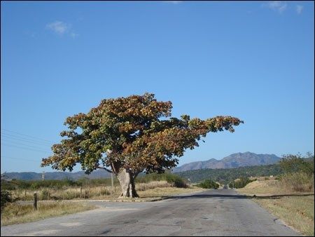 Cuba 2009