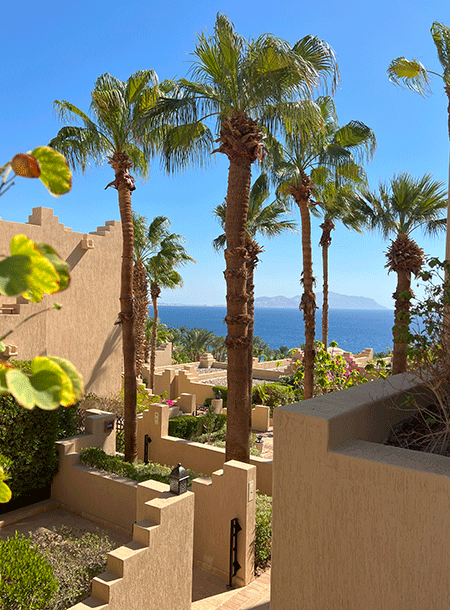 Sharm el sheikh