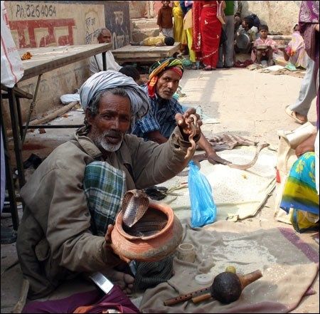 Varanasi 2008