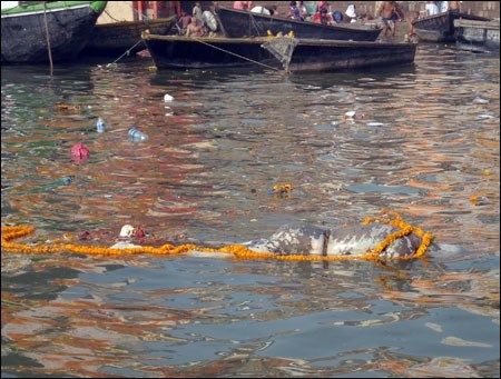 Varanasi 2008
