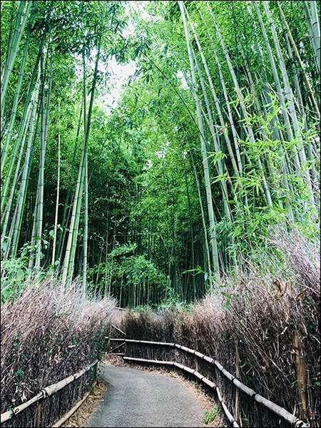 Kyoto
