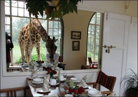 Kenya 2010