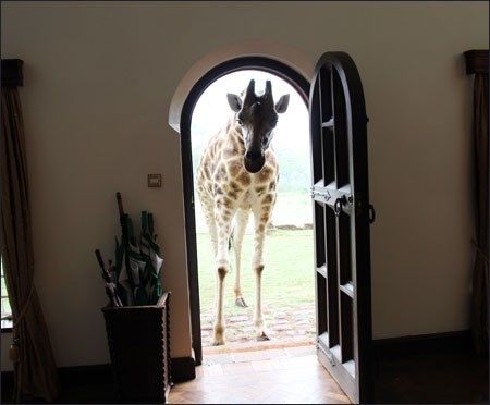 Kenya 2010