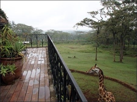 Kenya 2010
