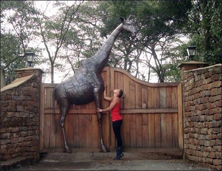 Kenya 2010