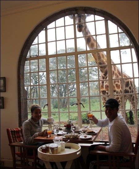 Kenya 2010