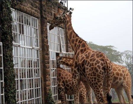 Kenya 2010