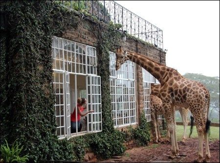 Kenya 2010