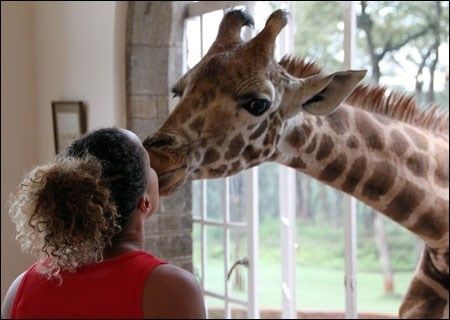 Kenya 2010