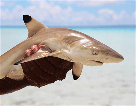 Kiribati