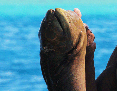 Kiribati