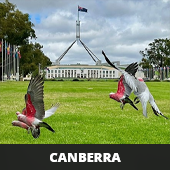 Canberra