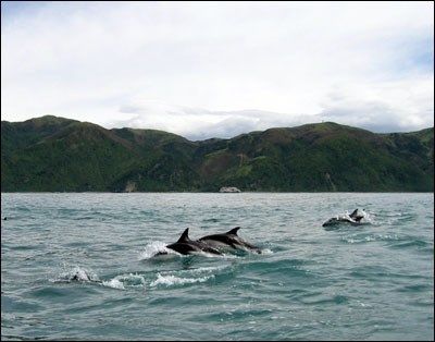 Sydøen 2002