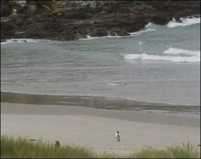 Sydøen 2002