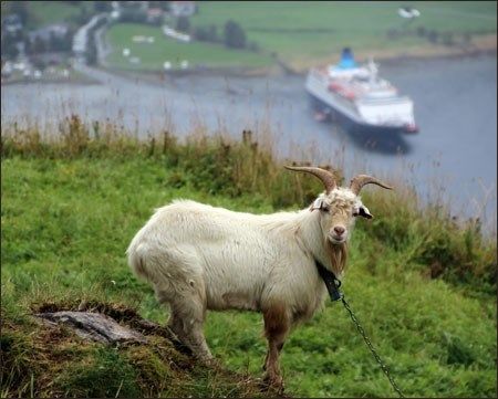 Norge 2012