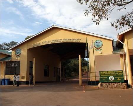 Ngorongoro