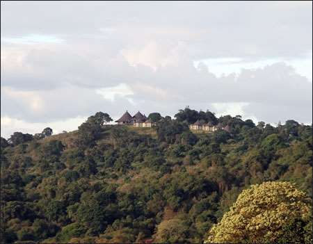 Ngorongoro