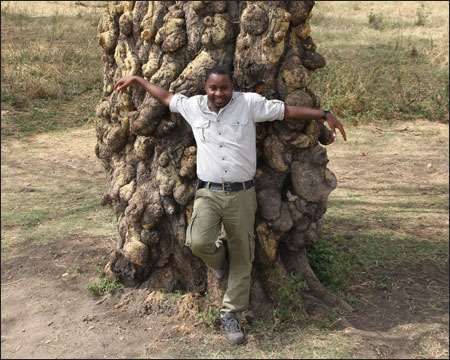 Ngorongoro