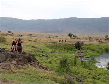 Ngorongoro