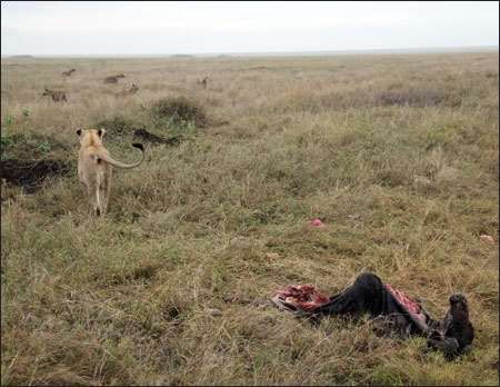 Serengeti