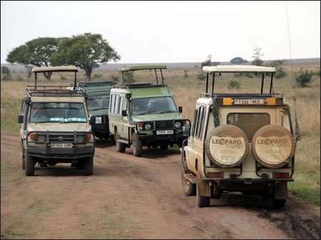 Serengeti