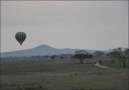 Serengeti