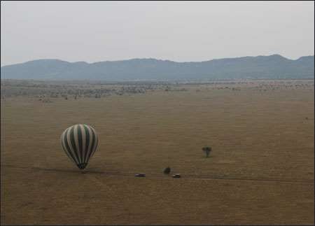 Serengeti