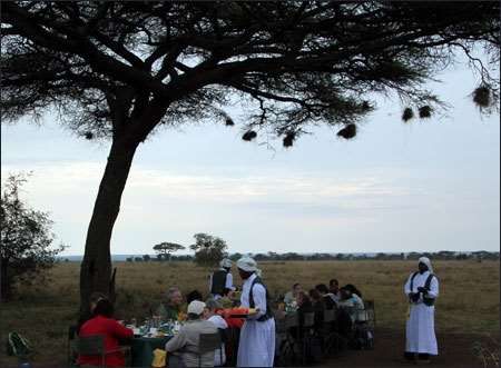 Serengeti