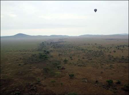 Serengeti