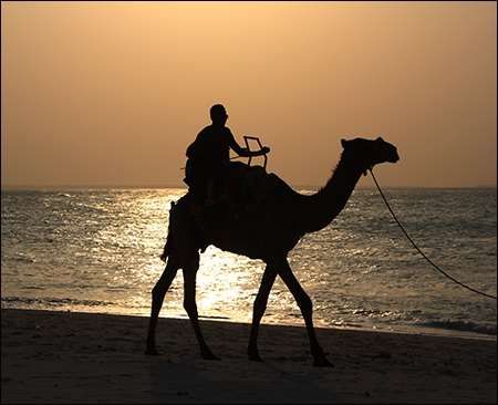 Zanzibar
