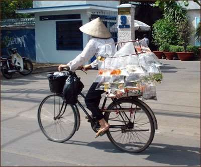 Vietnam 2000 & 2007