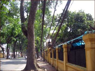 Vietnam 2000 & 2007